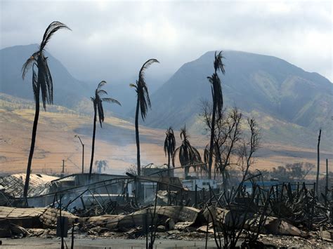 Flash drought, invasive grasses, winds, hurricane and climate change fuel Maui's devastating fires